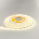 Fita LED 5 Metros SMD 2835 | 300 LEDs IP20 | Branco Frio ou Quente | Bivolt