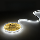 Fita LED 5 Metros SMD 2835 | 300 LEDs IP20 | Branco Frio ou Quente | Bivolt
