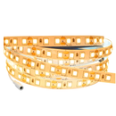 Fita LED 5 Metros SMD 2835 | 300 LEDs IP20 | Branco Frio ou Quente | Bivolt
