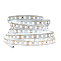 Fita LED 5 Metros SMD 2835 | 300 LEDs IP20 | Branco Frio ou Quente | Bivolt