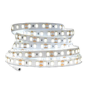 Fita LED 5 Metros SMD 2835 | 300 LEDs IP20 | Branco Frio ou Quente | Bivolt