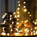 Cordão Luminária Fio C/ 20 LEDS 3 Metros Para Decoração 30916